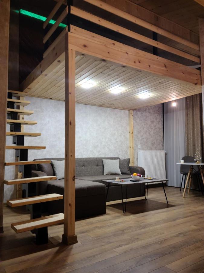Appartamento Gudauri Winter House Esterno foto
